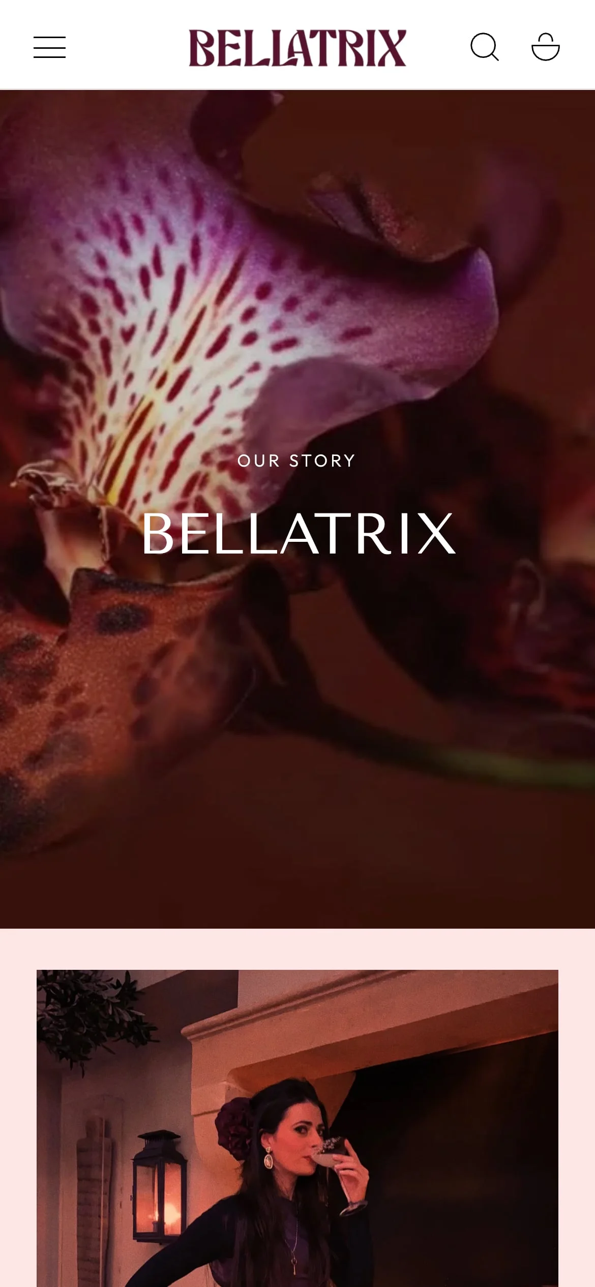 Bellatrix on mobile — our story