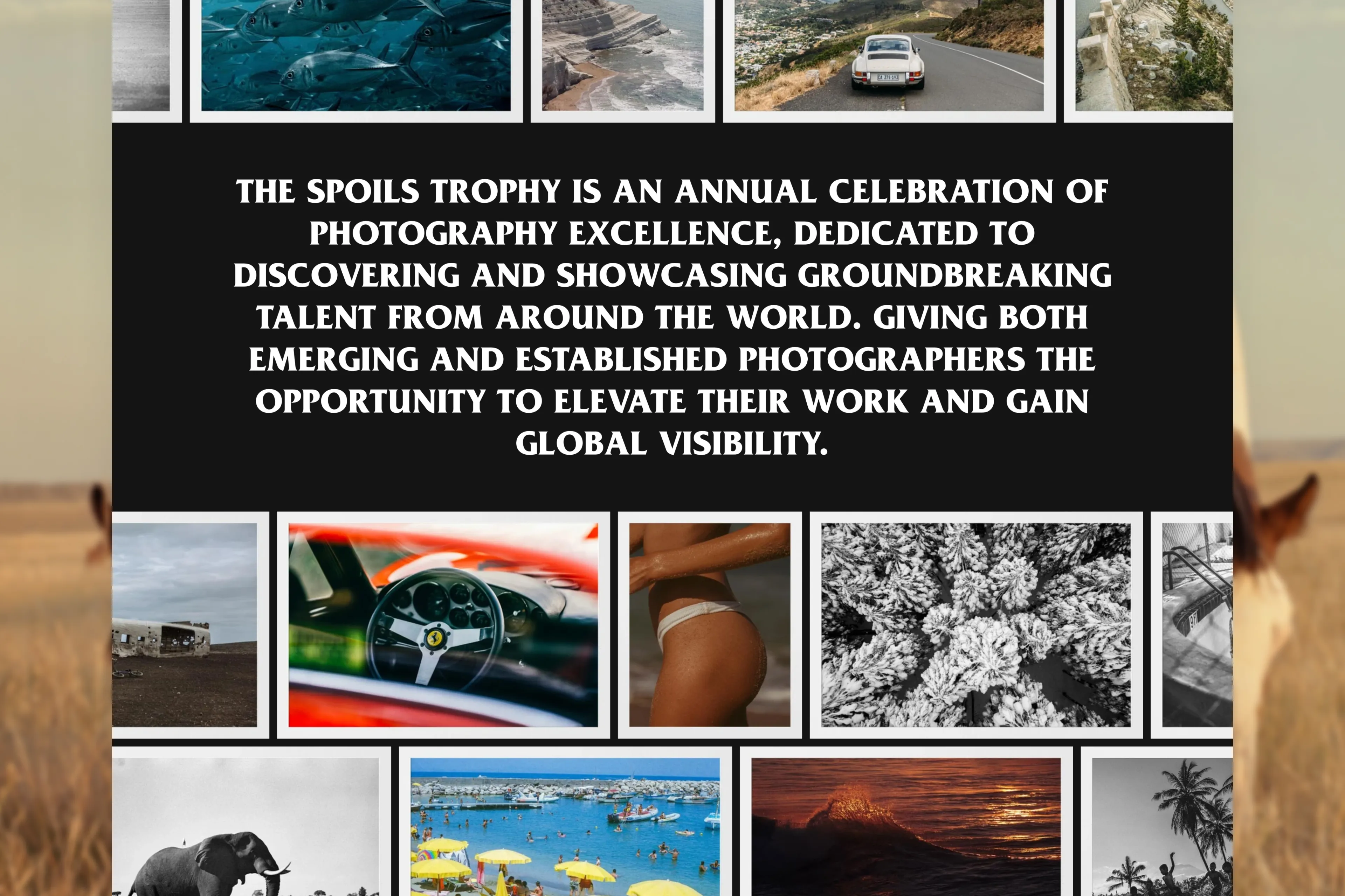 Spoils Trophy — image 5