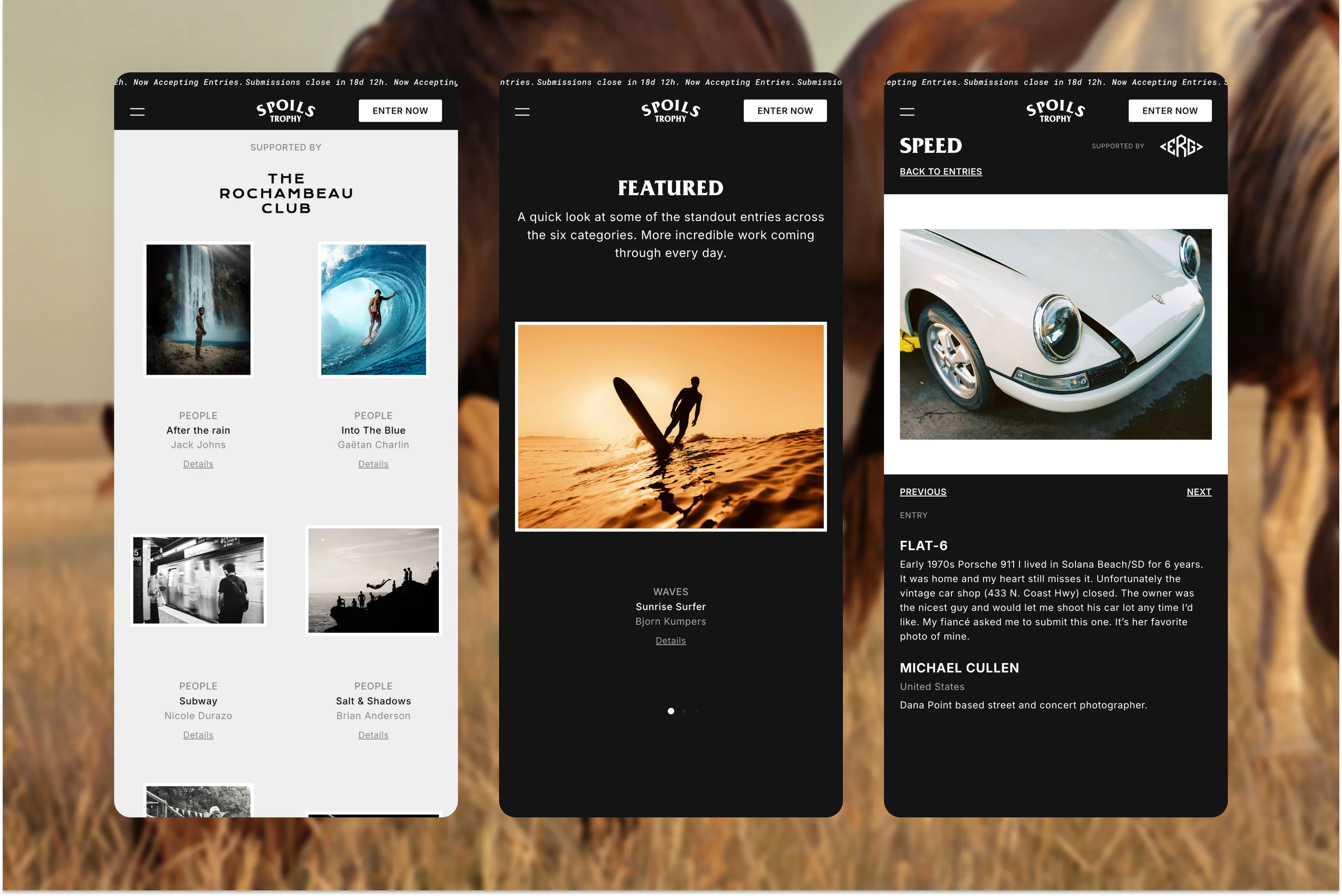 Spoils Trophy — image 6