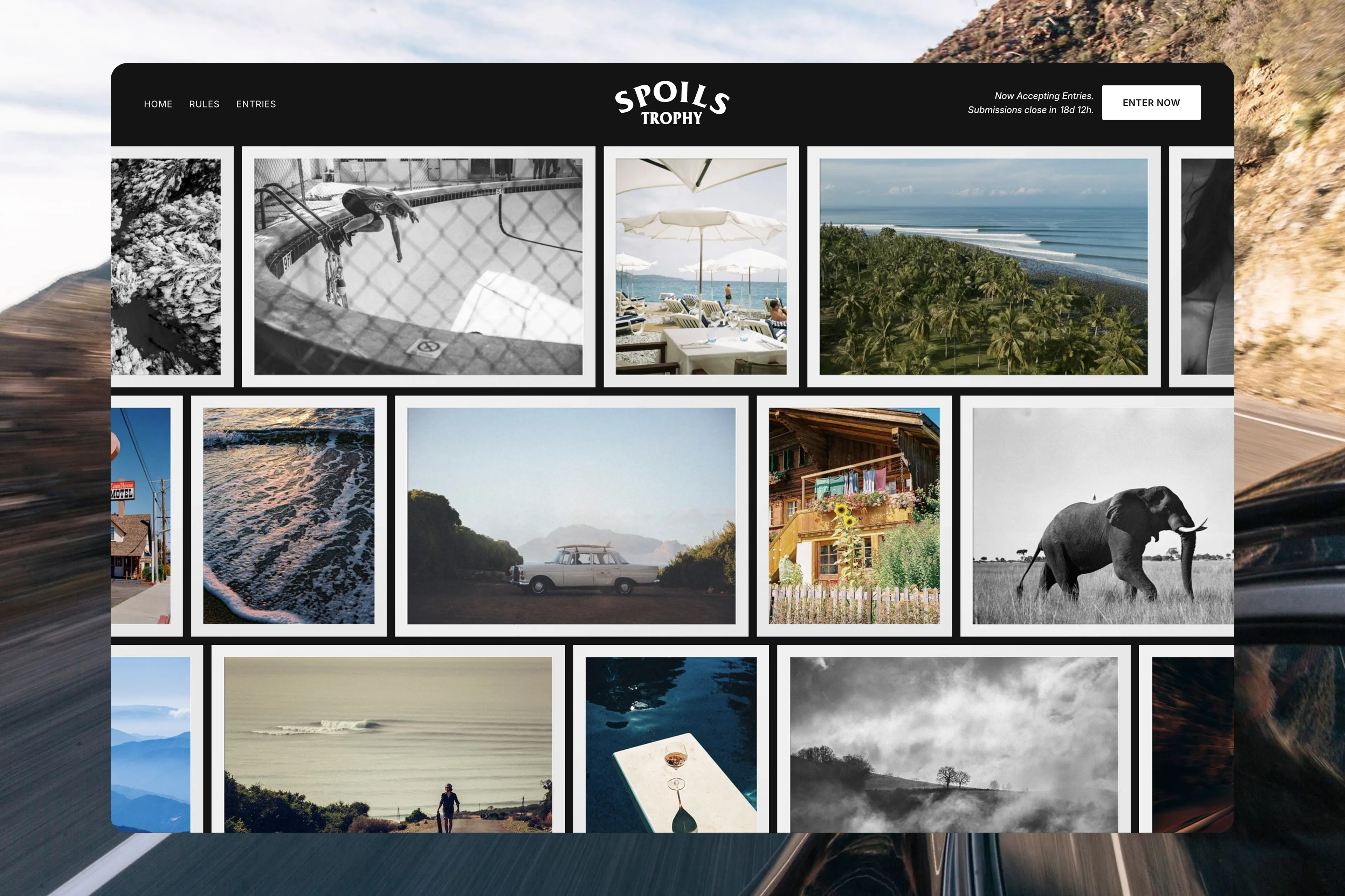 Spoils Trophy — image 7