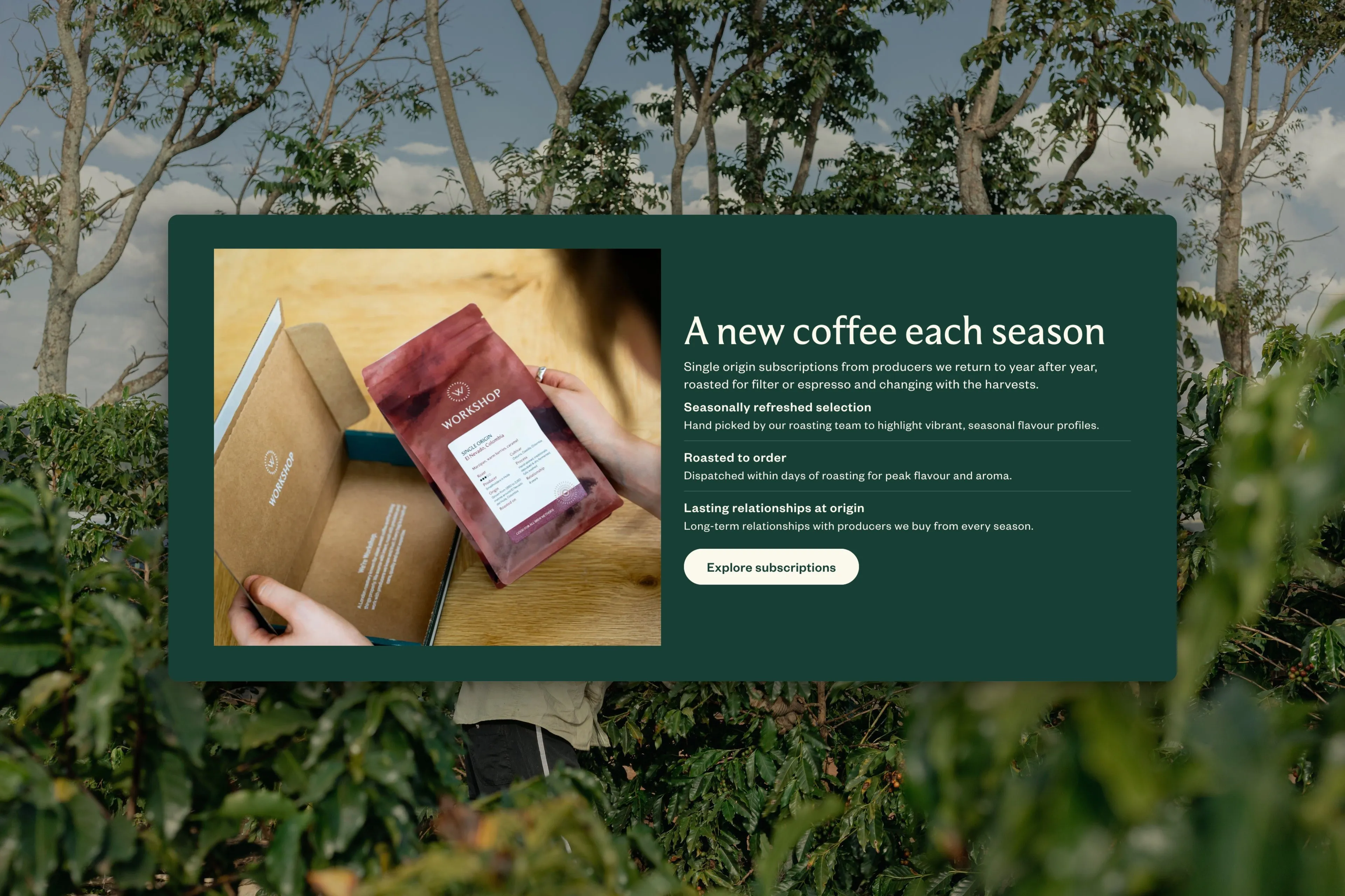 Workshop Coffee — seasonal subscriptions, set against a coffee farm